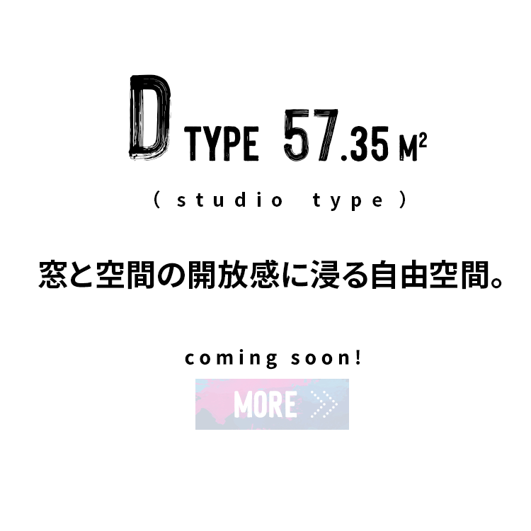 D TYPE 00.00㎡（studio type）